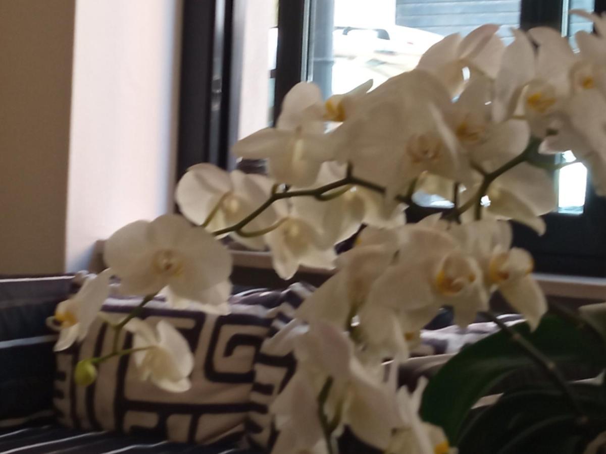 Hotel Touring Livorno Eksteriør bilde